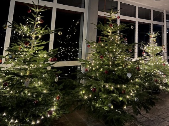 Drei hell erleuchtete Weihnachtsbäume, deren Lichter sich stimmungsvoll in den Fenstern der Pausenhalle spiegeln.